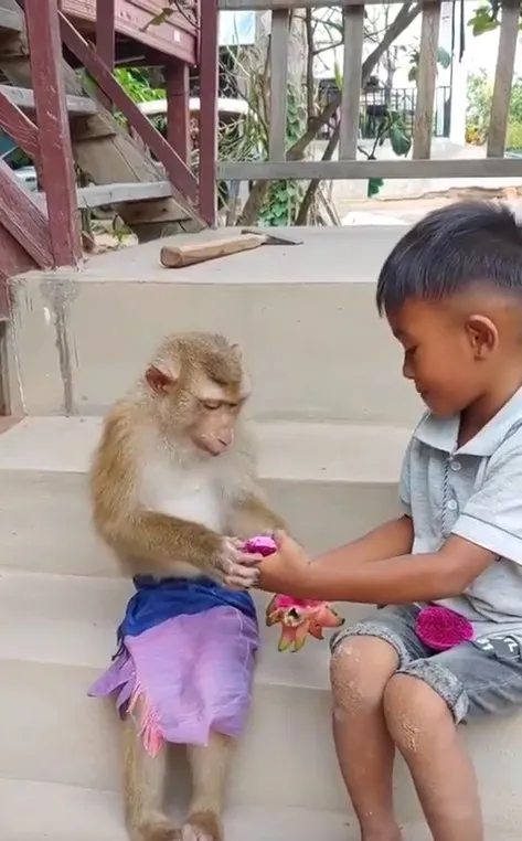 종을 초월한 우정.jpg.webp